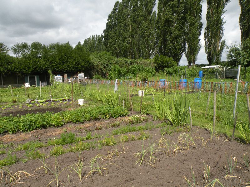 Visite des jardins familiaux