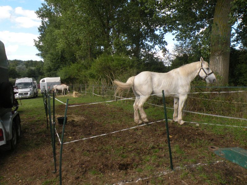 Équi-Oise 2015 à Coye-la-forêt