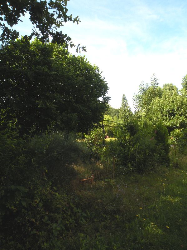 Visite des jardins familiaux