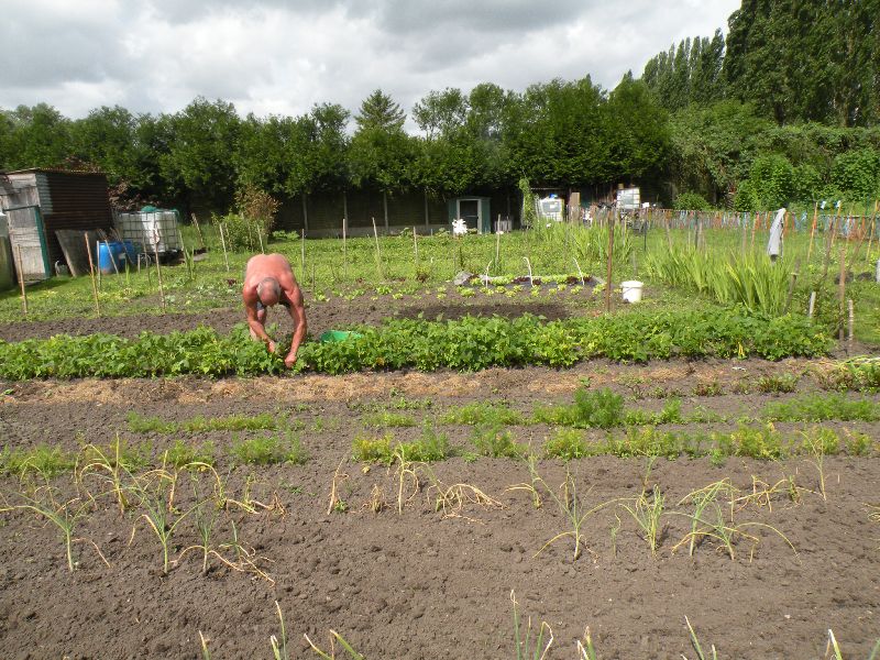 Visite des jardins familiaux