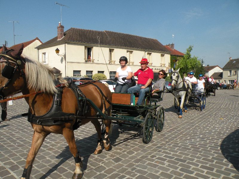 Équi-Oise 2015 à Coye-la-forêt