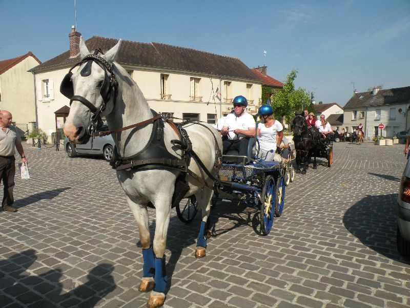 Équi-Oise 2015 à Coye-la-forêt