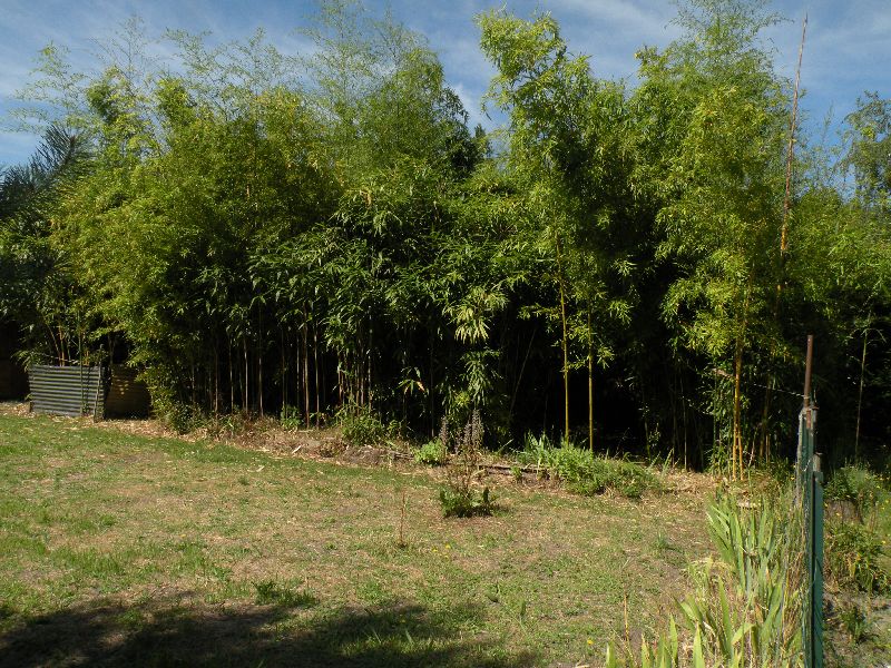 Visite des jardins familiaux
