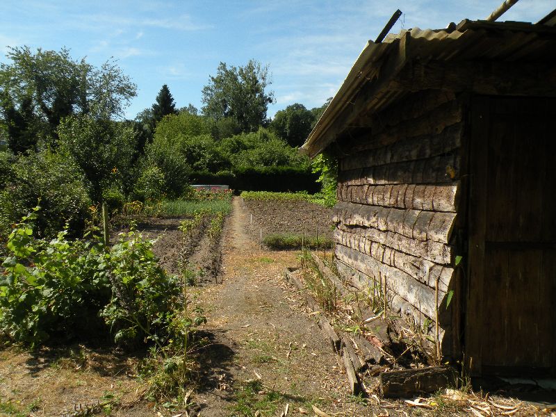 Visite des jardins familiaux