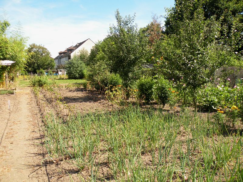 Visite des jardins familiaux