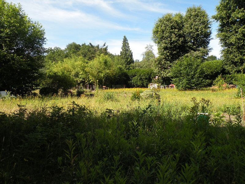 Visite des jardins familiaux