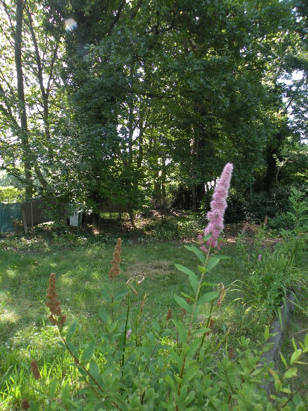 Visite des jardins familiaux