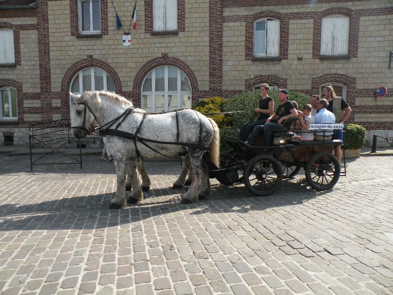 Équi-Oise 2015 à Coye-la-forêt
