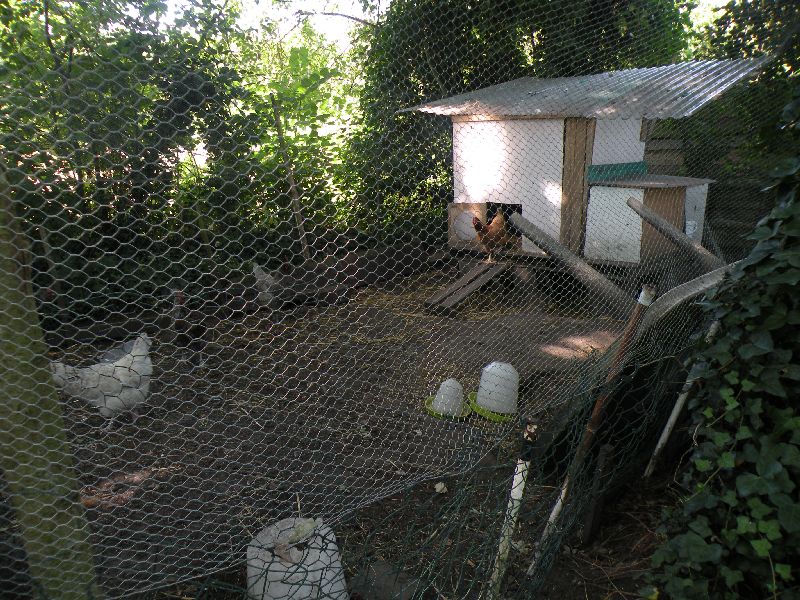 Visite des jardins familiaux