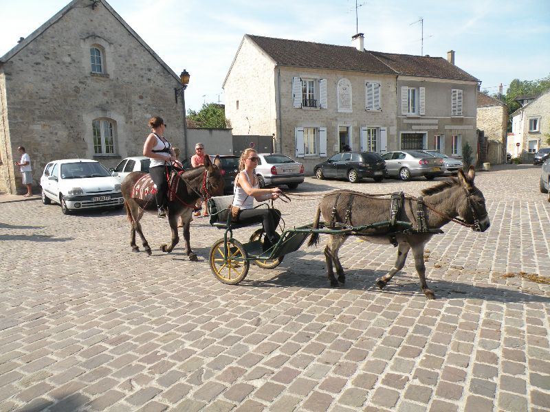 Équi-Oise 2015 à Coye-la-forêt