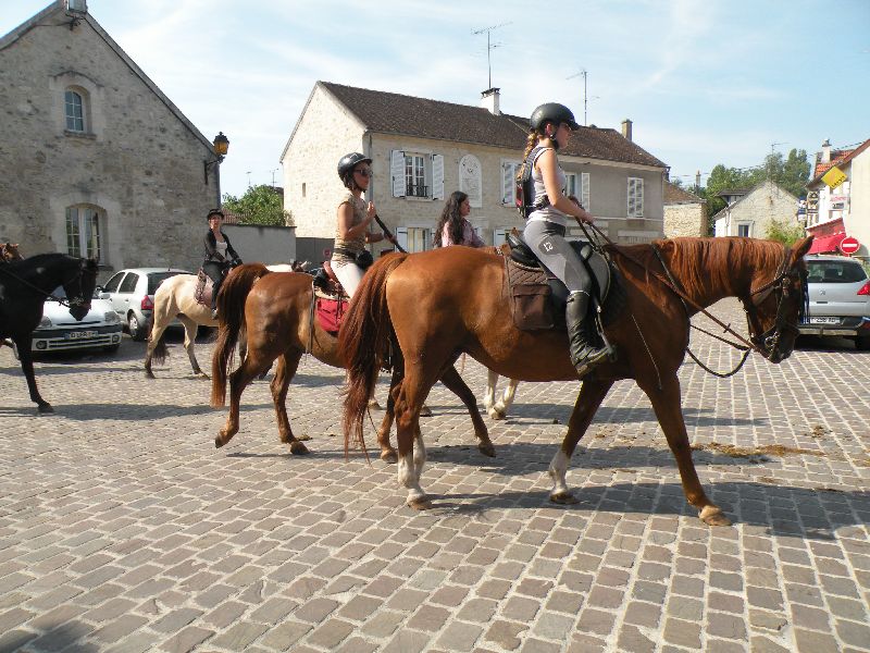 Équi-Oise 2015 à Coye-la-forêt