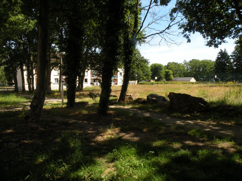 Visite des jardins familiaux