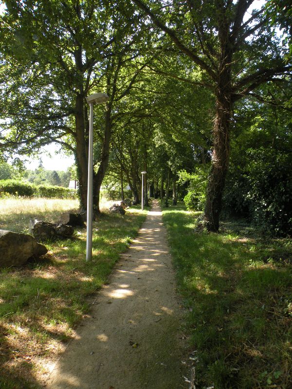 Visite des jardins familiaux