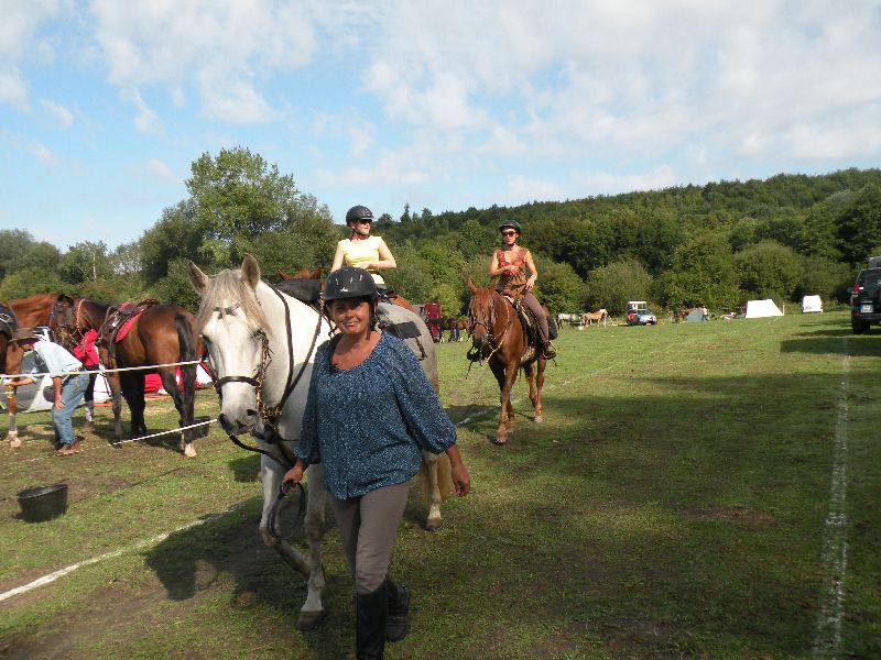Équi-Oise 2015 à Coye-la-forêt