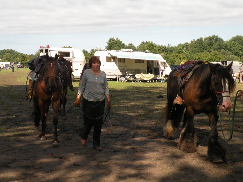 Équi-Oise 2015 à Coye-la-forêt