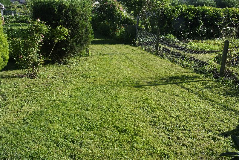 Visite des jardins familiaux