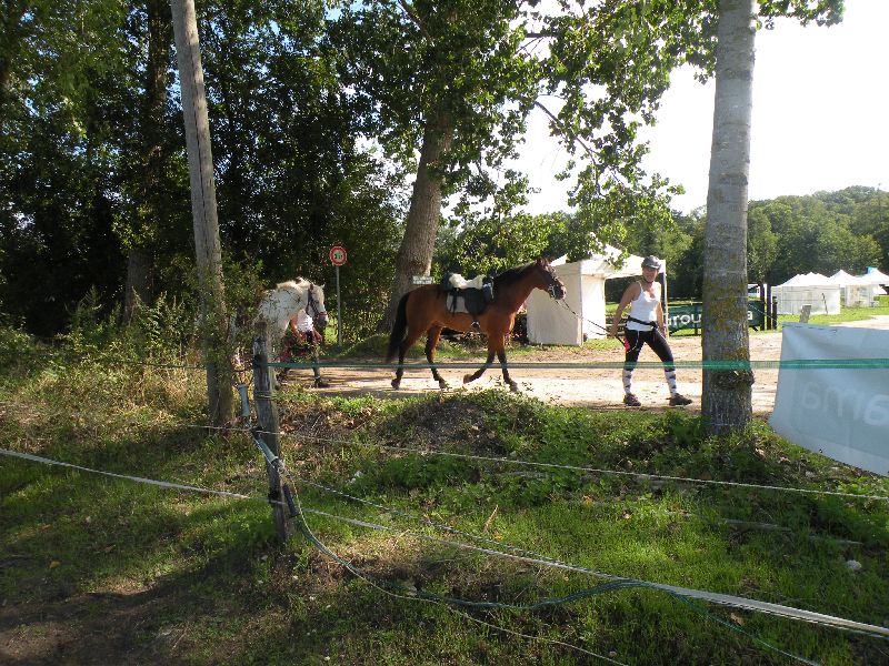Équi-Oise 2015 à Coye-la-forêt