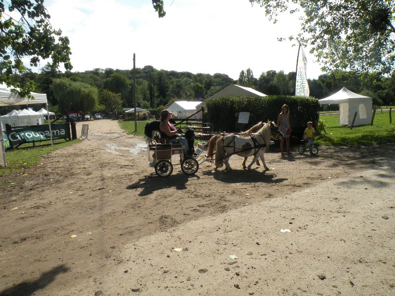 Équi-Oise 2015 à Coye-la-forêt