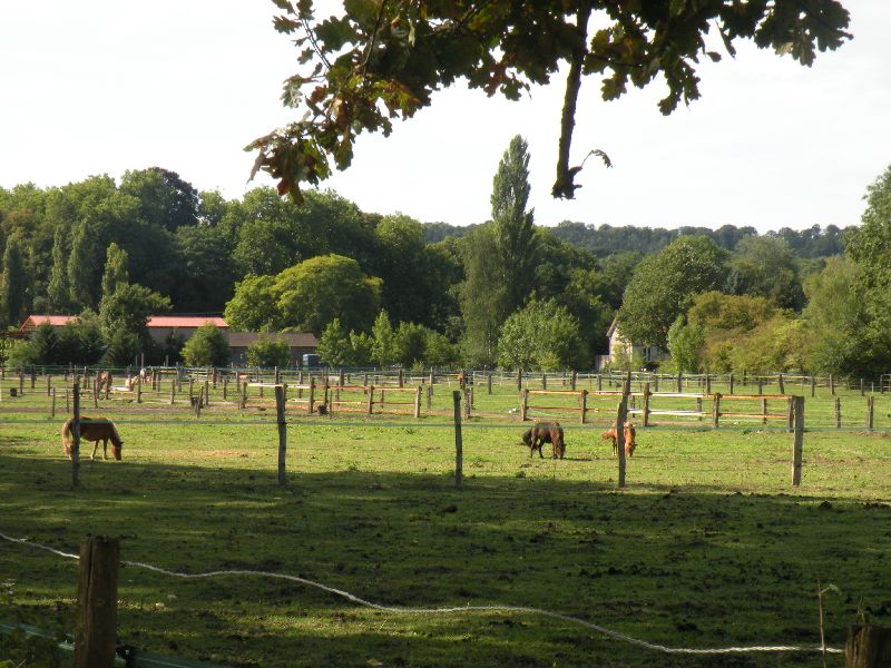 Équi-Oise 2015 à Coye-la-forêt
