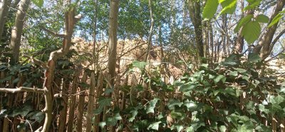Pour faire cesser le dépôt de fumier route de Lamorlaye : lettre ouverte au maire