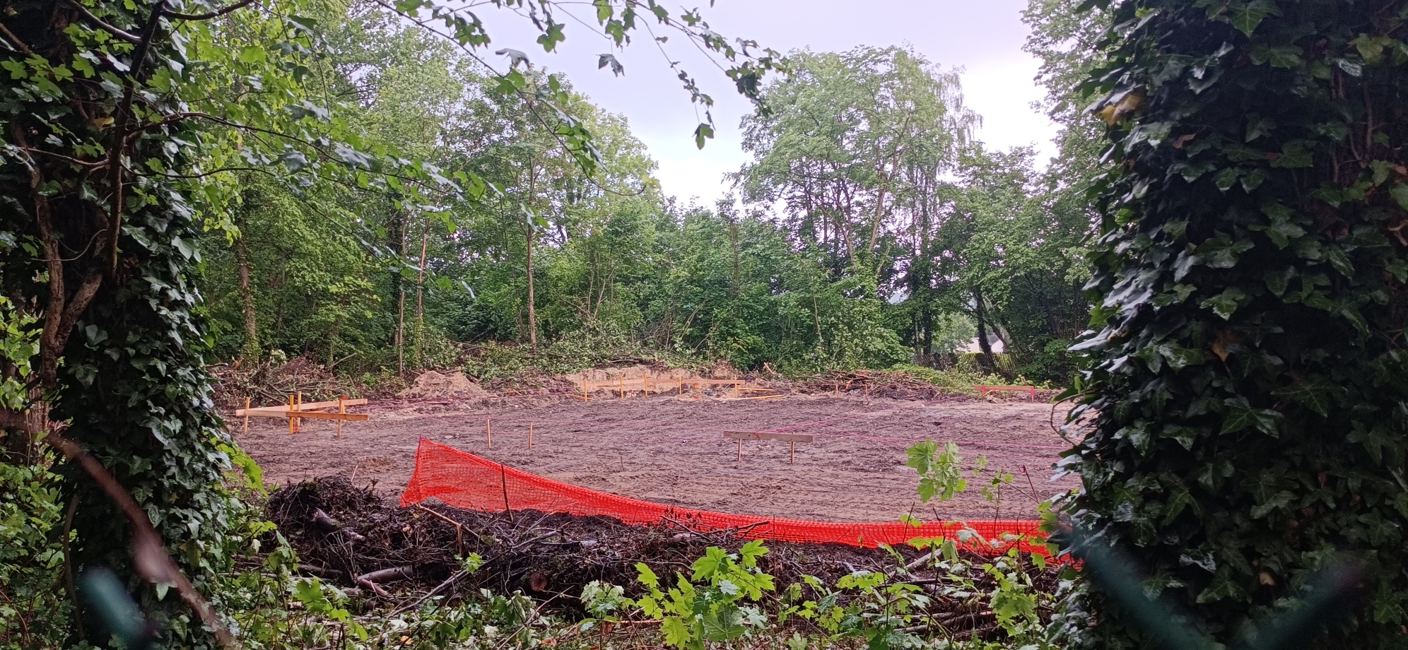 Coye-la-Forêt : Un bois entier disparu… et des solutions pour éviter que ça recommence