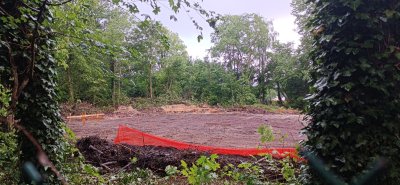 Coye-la-Forêt : Un bois entier disparu… et des solutions pour éviter que ça recommence
