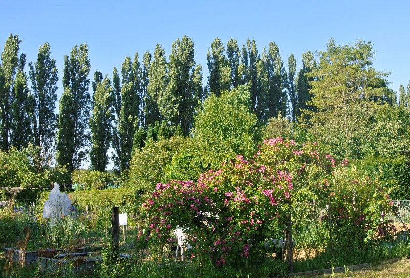 Visite des jardins familiaux