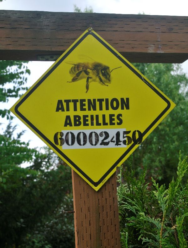 Visite des jardins familiaux