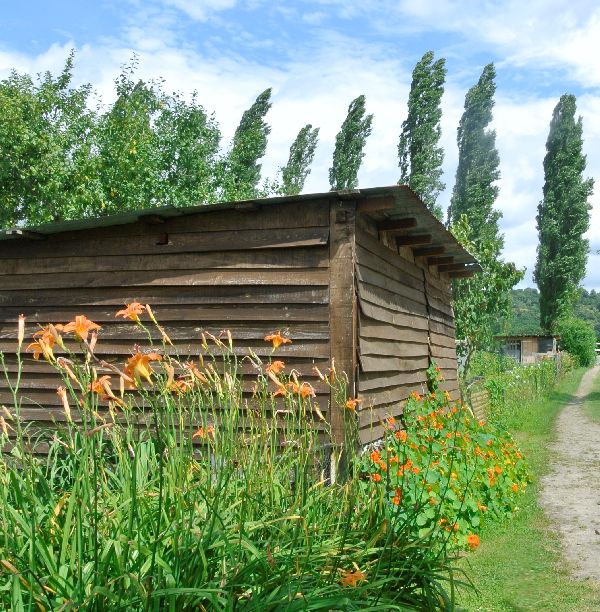 Visite des jardins familiaux