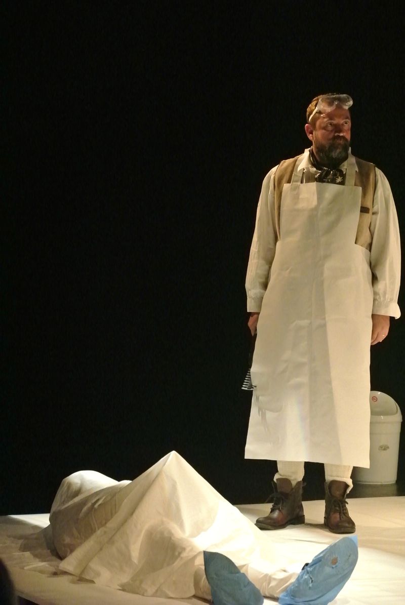 ALPENSTOCK De Rémi De Vos