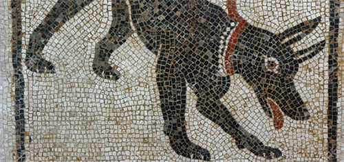 Cave canem