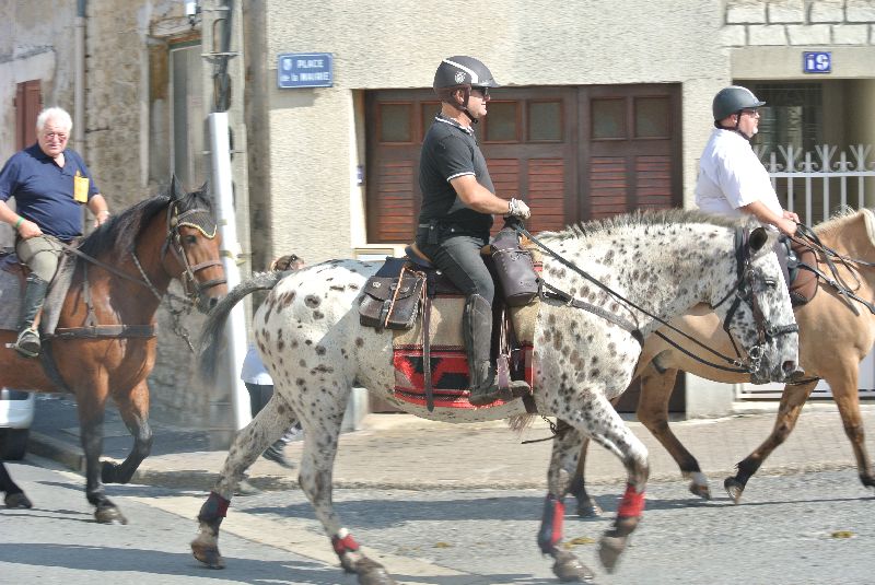 Équi-Oise 2015 à Coye-la-forêt