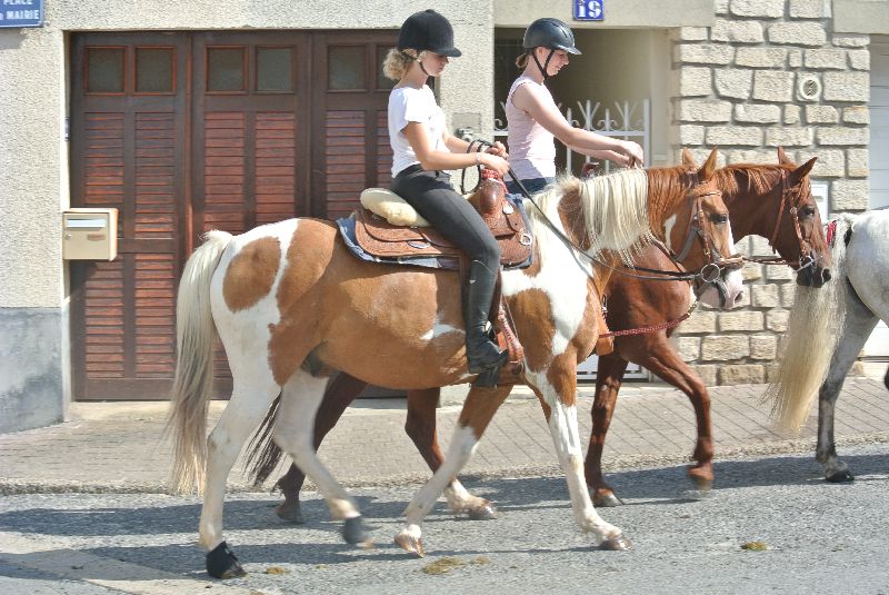 Équi-Oise 2015 à Coye-la-forêt