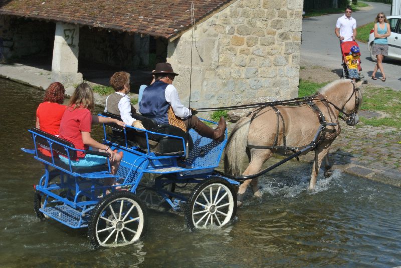 Équi-Oise 2015 à Coye-la-forêt
