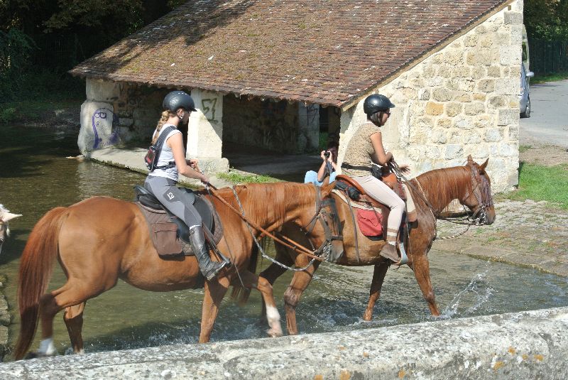 Équi-Oise 2015 à Coye-la-forêt