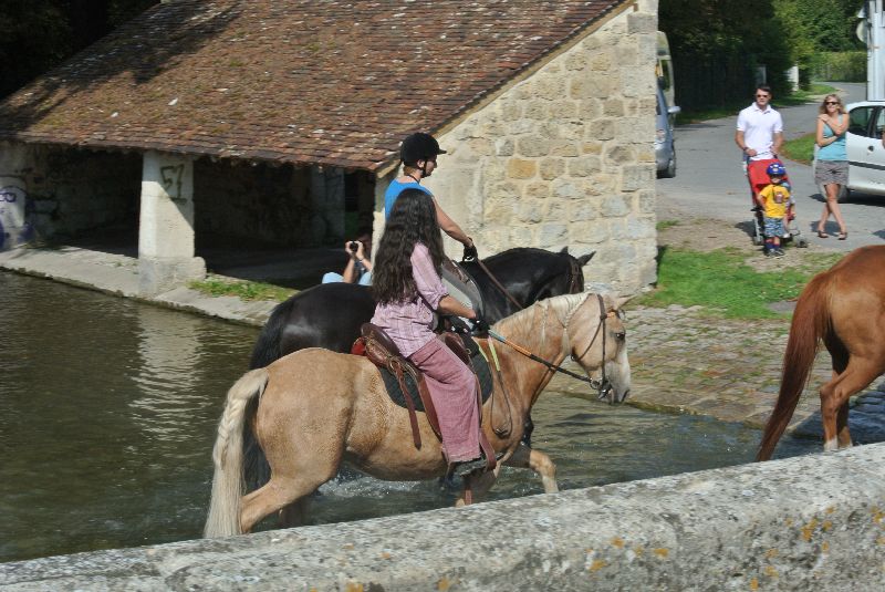 Équi-Oise 2015 à Coye-la-forêt
