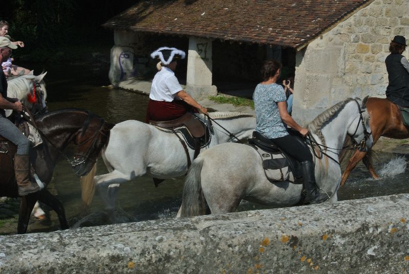 Équi-Oise 2015 à Coye-la-forêt