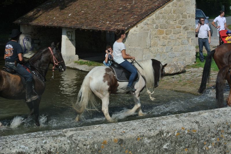 Équi-Oise 2015 à Coye-la-forêt