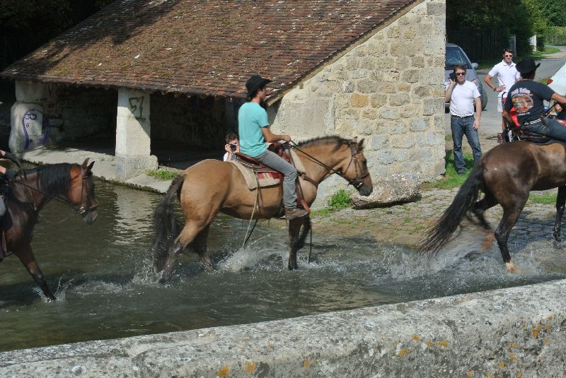 Équi-Oise 2015 à Coye-la-forêt