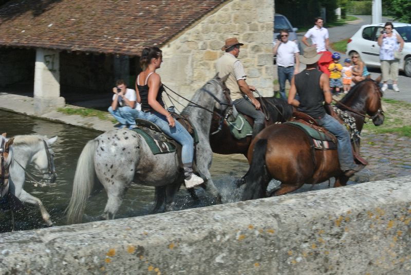 Équi-Oise 2015 à Coye-la-forêt