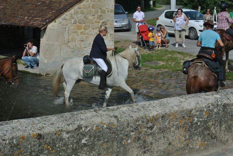 Équi-Oise 2015 à Coye-la-forêt