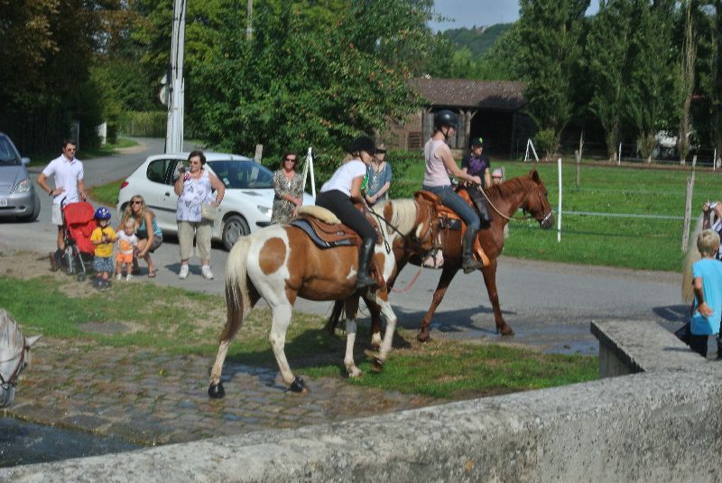 Équi-Oise 2015 à Coye-la-forêt