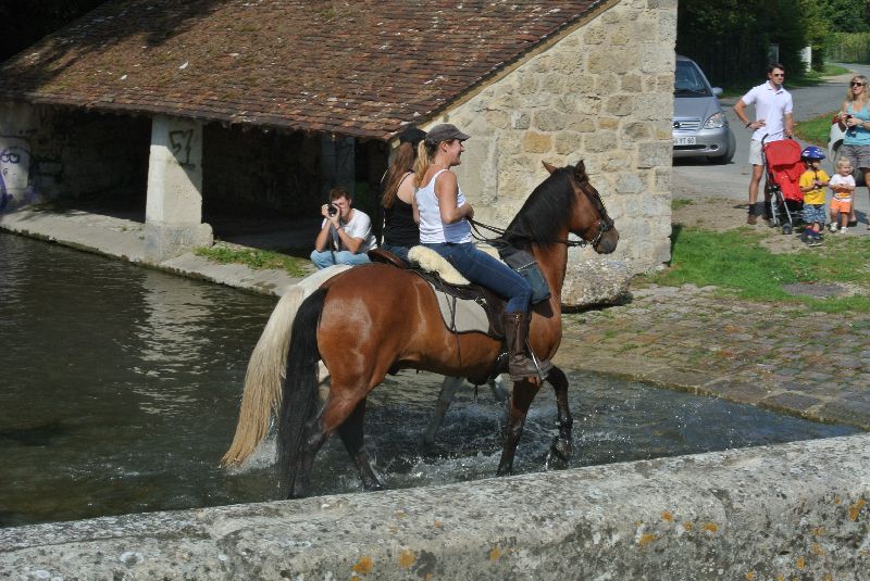Équi-Oise 2015 à Coye-la-forêt