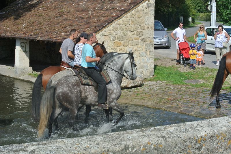 Équi-Oise 2015 à Coye-la-forêt