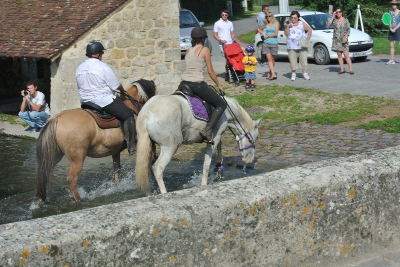 Équi-Oise 2015 à Coye-la-forêt
