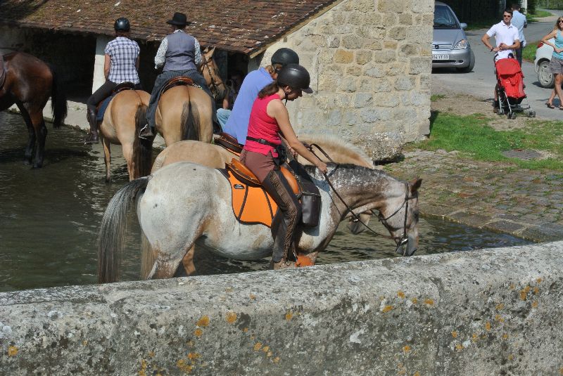 Équi-Oise 2015 à Coye-la-forêt