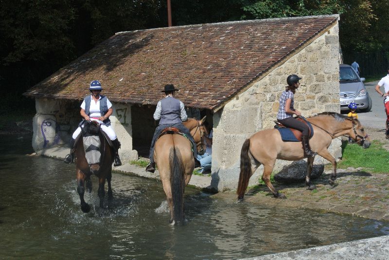 Équi-Oise 2015 à Coye-la-forêt