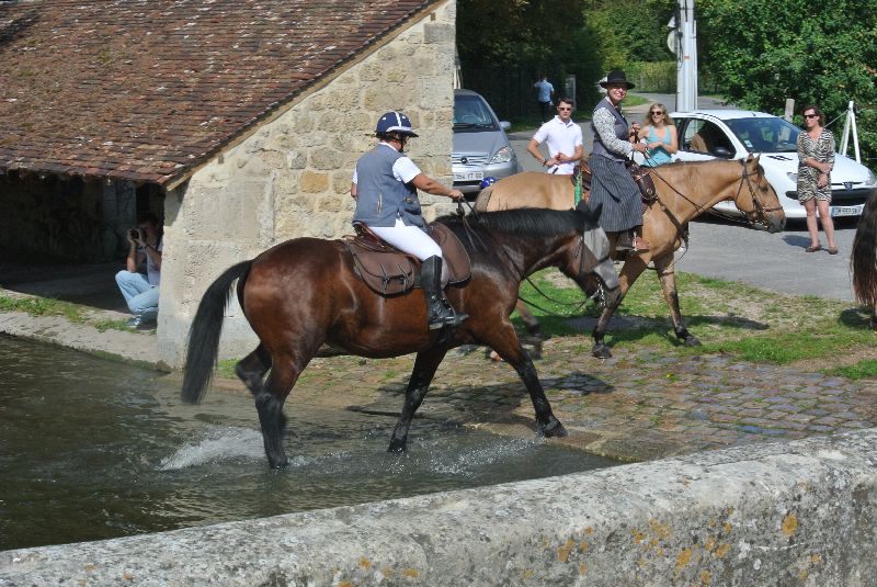 Équi-Oise 2015 à Coye-la-forêt