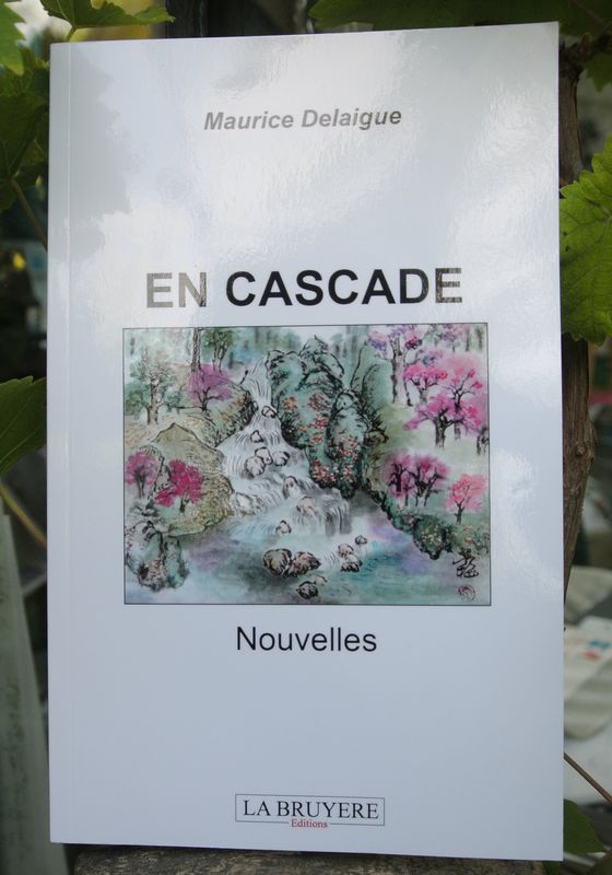 Maurice Delaigue : En cascade