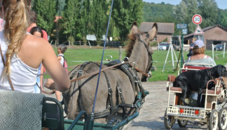 À CHEVAL !  LES VACANCES SONT FINIES…
